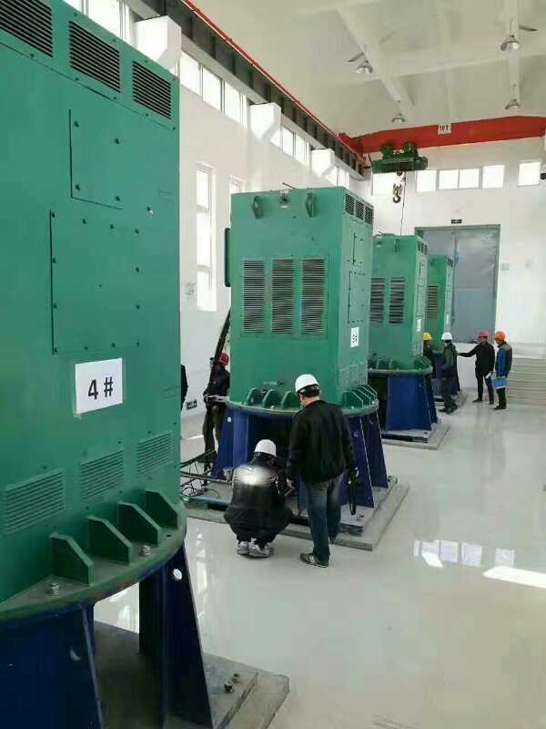 YJTFKK4501-10-185KW某污水处理厂使用我厂的立式高压电机安装现场