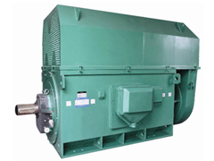 YJTFKK4501-10-185KWYKK系列高压电机